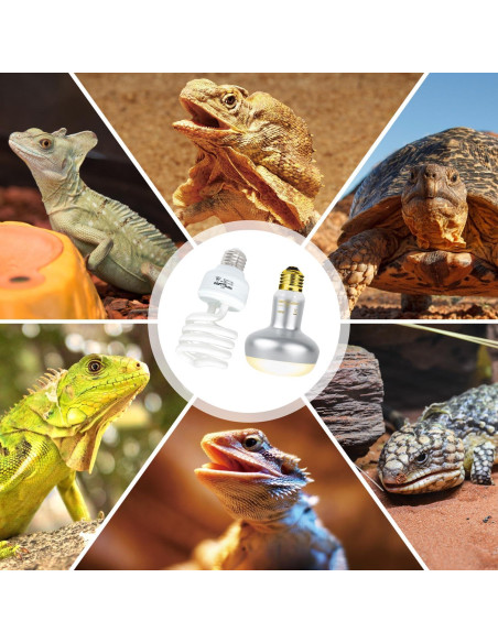 Paquete de Bombillas para Reptiles REPTI ZOO 100W y 26W UVB