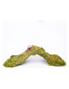 Puente de Escalada para Cangrejos Ermitaños Begeterday 34 cm