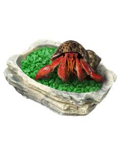 Tazón de Alimentación SunGrow para Cangrejo Ermitaño 9x7x2.5cm