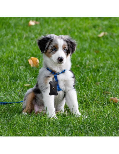 Soporte para Bolsas de Excremento de Perro TOGETRUE Cuero Negro