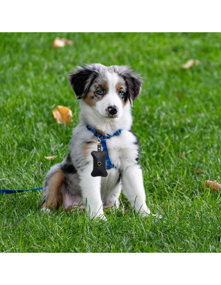 Soporte para Bolsas de Excremento de Perro TOGETRUE Cuero Negro