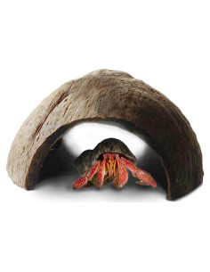 Refugio de Coco SunGrow para Cangrejos Ermitaños 12.7x7.6 cm