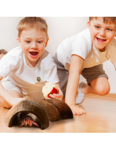 Refugio de Coco SunGrow para Cangrejos Ermitaños 12.7x7.6 cm 2