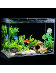 Clip de Succión para Algas SLSON - 4 Piezas Transparente 2