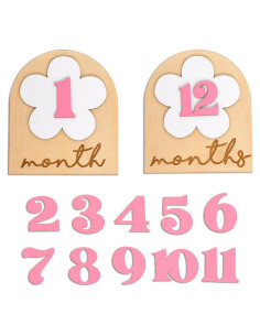 Carteles de Fotos de Hitos para Bebés Daisy - 12 Números Rosados
