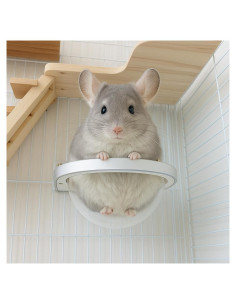 Hamaca Acrílica Transparente Tcomenun para Chinchillas y Hurones 22x22cm
