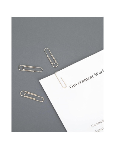 Clips de Papel Antideslizantes PAPERPAL No. 1 - 600 Piezas