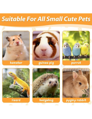 Hamaca de Hierba Marina Kathson 40x40 cm para Conejos y Pequeños Animales