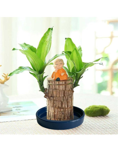 Plato de Cerámica Azul Yukfona 11.9 cm - 2 Paquete para Macetas