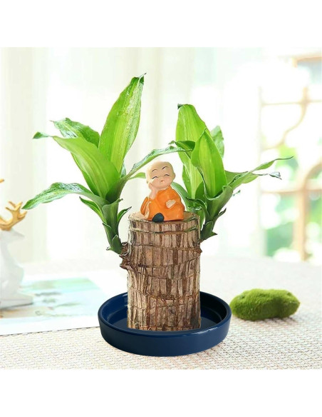 Plato de Cerámica Azul Yukfona 11.9 cm - 2 Paquete para Macetas