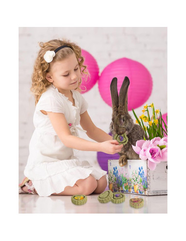 Golosinas de Heno Timothy Sofier 12 Piezas para Conejos