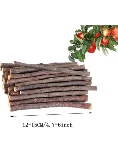 Palitos de Manzana Natural 300g ANDES para Animales Pequeños 2