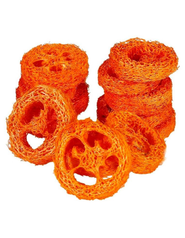 15 Rodajas de Lufa Natural para Masticar Mascotas YOMENO