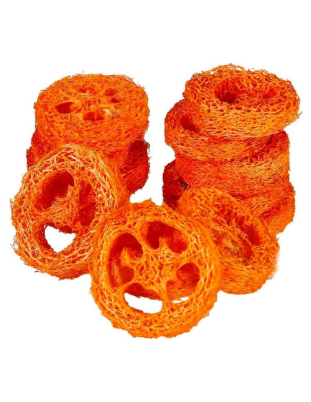 15 Rodajas de Lufa Natural para Masticar Mascotas YOMENO