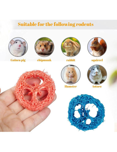 15 Rodajas de Lufa Natural para Masticar Mascotas YOMENO