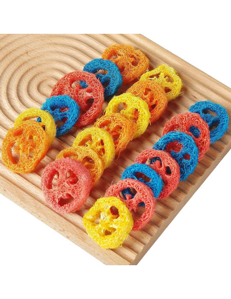 15 Rodajas de Lufa Natural para Masticar Mascotas YOMENO