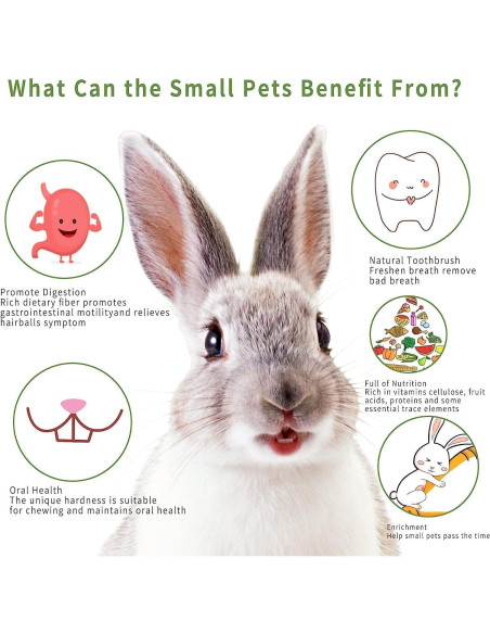 70 Palitos de Masticar para Conejos Petawi - Heno Timothy Natural