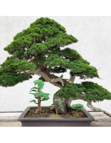 Adornos de Árboles de Ciprés Artificiales NUOBESTY 3 Pcs 24cm