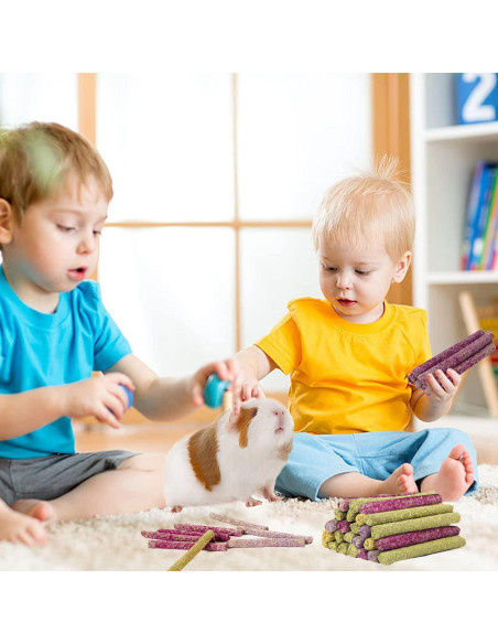 70 Palitos de Masticar para Conejos Petawi - Heno Timothy Natural