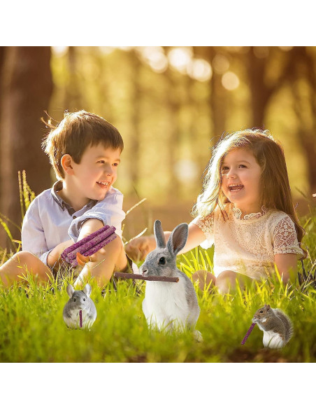 70 Palitos de Masticar para Conejos Petawi - Heno Timothy Natural