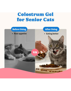 Gel Nutricional de Calostro Bovino YoYoBay 32g para Perros y Gatos 2