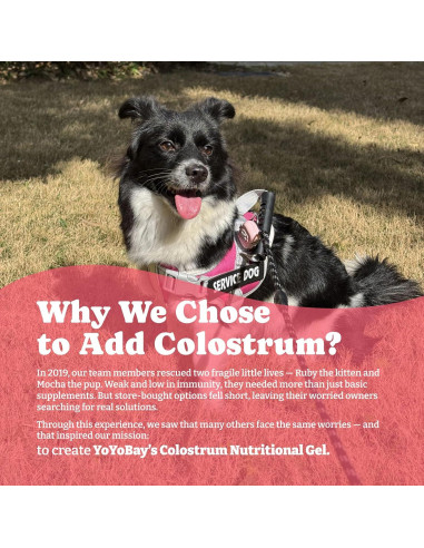 Gel Nutricional de Calostro Bovino YoYoBay 32g para Perros y Gatos