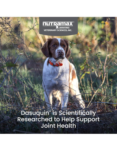 Dasuquin con MSM Masticables Nutramax 150 Tabletas Perro Pequeño/Mediano