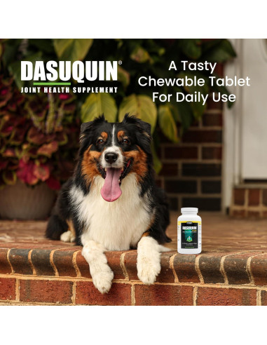 Dasuquin con MSM Masticables Nutramax 150 Tabletas Perro Pequeño/Mediano