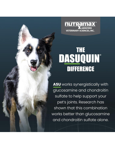 Dasuquin con MSM Masticables Nutramax 150 Tabletas Perro Pequeño/Mediano