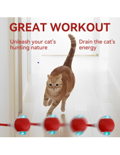 Juguete Interactivo Eléctrico para Gatos y Perros Guyugoey DMQ-01 2