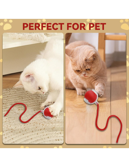 Juguete Interactivo Eléctrico para Gatos y Perros Guyugoey DMQ-01