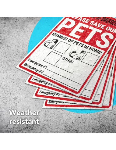 Juego de 4 Etiquetas de Alerta de Mascotas DIMARONGTON 10x15 cm