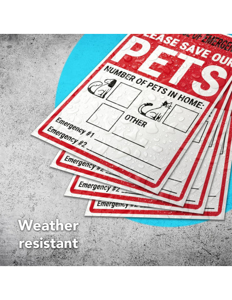 Juego de 4 Etiquetas de Alerta de Mascotas DIMARONGTON 10x15 cm