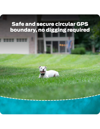Collar GPS Inalámbrico para Perros Premier Pet - Sumergible, Recargable, 0.30 Hectáreas