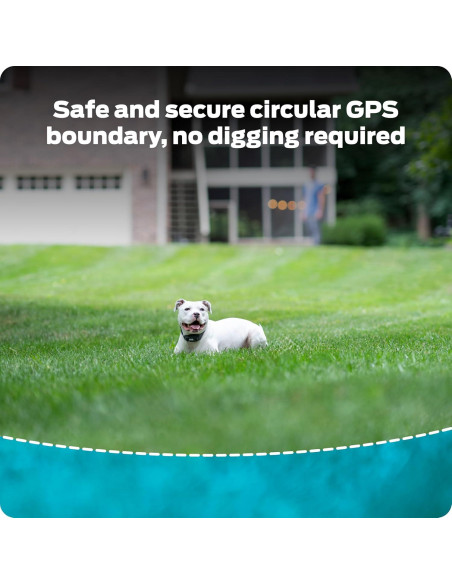 Collar GPS Inalámbrico para Perros Premier Pet - Sumergible, Recargable, 0.30 Hectáreas