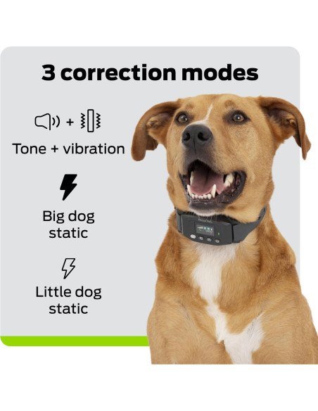 Collar GPS Inalámbrico para Perros Premier Pet - Sumergible, Recargable, 0.30 Hectáreas