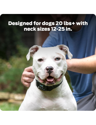 Collar GPS Inalámbrico para Perros Premier Pet - Sumergible, Recargable, 0.30 Hectáreas