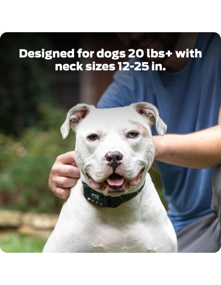 Collar GPS Inalámbrico para Perros Premier Pet - Sumergible, Recargable, 0.30 Hectáreas