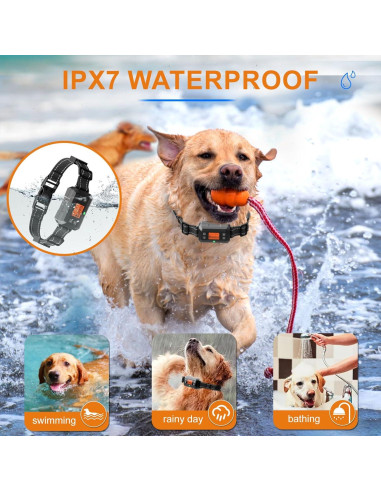 Cerca Inalámbrica GPS para Perros iiglowing F810 - 10 a 300 metros