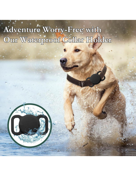 Rastreador GPS para Perros Veeind HB11, Impermeable, iOS