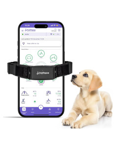 Collar Inteligente PetPace 2.0 Pequeño - Monitoreo Salud Canina
