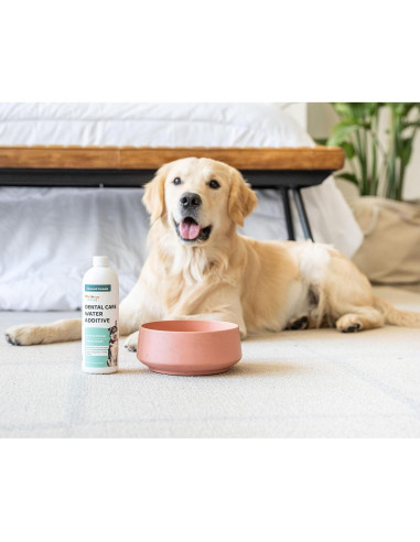 Aditivo Dental para Perros y Gatos Wellnergy Pets 473 ml