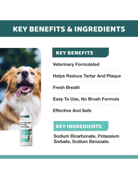 Aditivo Dental para Perros y Gatos Wellnergy Pets 473 ml