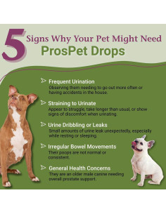 Gotas ProsPet PetAlive para Salud Prostática de Perros 60ml 2