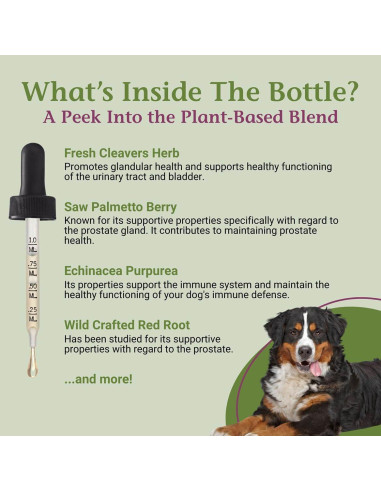 Gotas ProsPet PetAlive para Salud Prostática de Perros 60ml