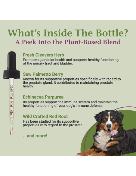 Gotas ProsPet PetAlive para Salud Prostática de Perros 60ml