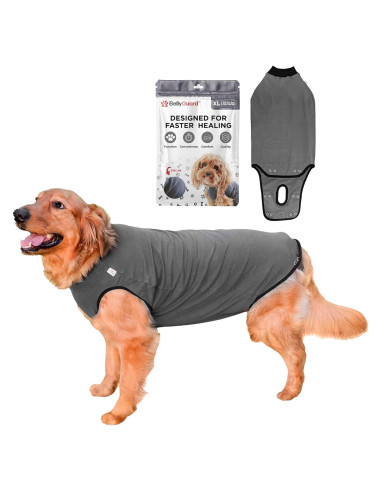 Traje de Recuperación para Perros BellyGuard XL Gris - Postoperatorio