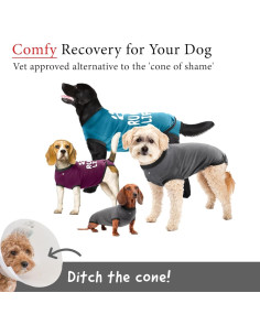 Traje de Recuperación para Perros BellyGuard XL Gris - Postoperatorio 2