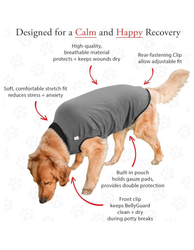 Traje de Recuperación para Perros BellyGuard XL Gris - Postoperatorio