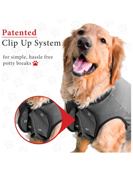 Traje de Recuperación para Perros BellyGuard XL Gris - Postoperatorio